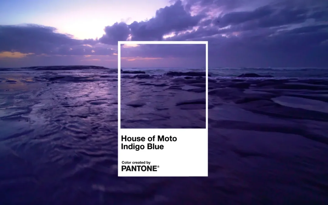Motorola presentó House of Moto Indigo, su color exclusivo desarrollado junto a Pantone para la era del Lifestyle Tech