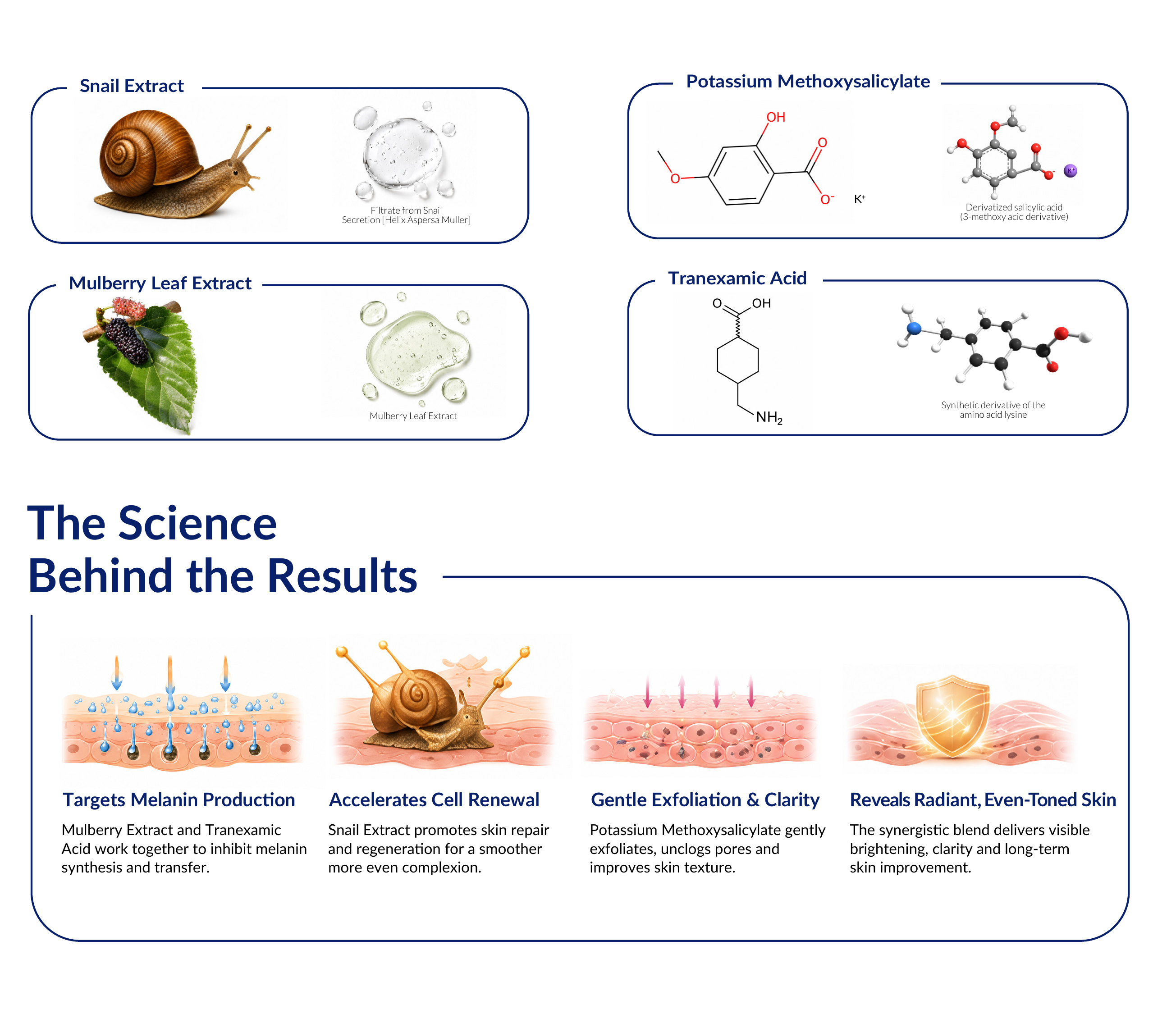 Snail Radiance & Repair Moisturizing Cream