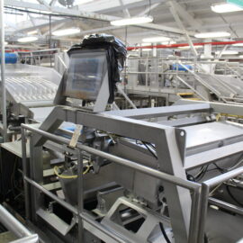 Odenberg Sorter Line 2