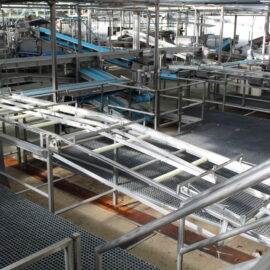 Post Sort Conveyor – Line 3