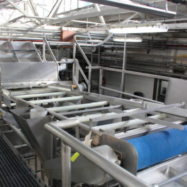 Presort Inspection & Trim Conveyor – Line 4