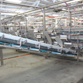 Filler Hopper Conveyor Feed 1