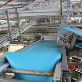 Filler Hopper Conveyor Feed 3