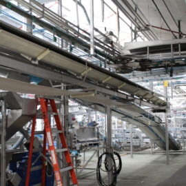 Rabbit Ear Styled Belt Conveyor