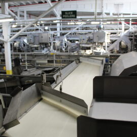 Belt Distribution Conveyor