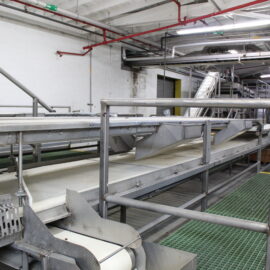 Inspection & Trim Conveyor