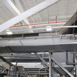 Takeaway Belt Conveyor