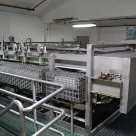 Roll Sizer W/Infeed Belt Conveyor