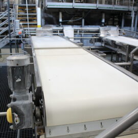 Belt Sorting Conveyor 1