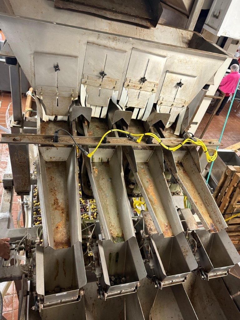 Four Lane Checkweigher All-Fill Filler - Image 4