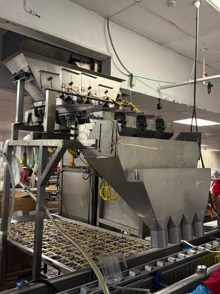 Four Lane Checkweigher All-Fill Filler