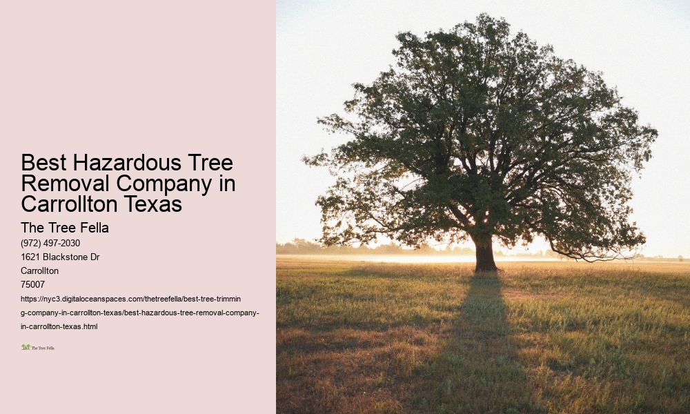 Best Hazardous Tree Removal Company in Carrollton Texas