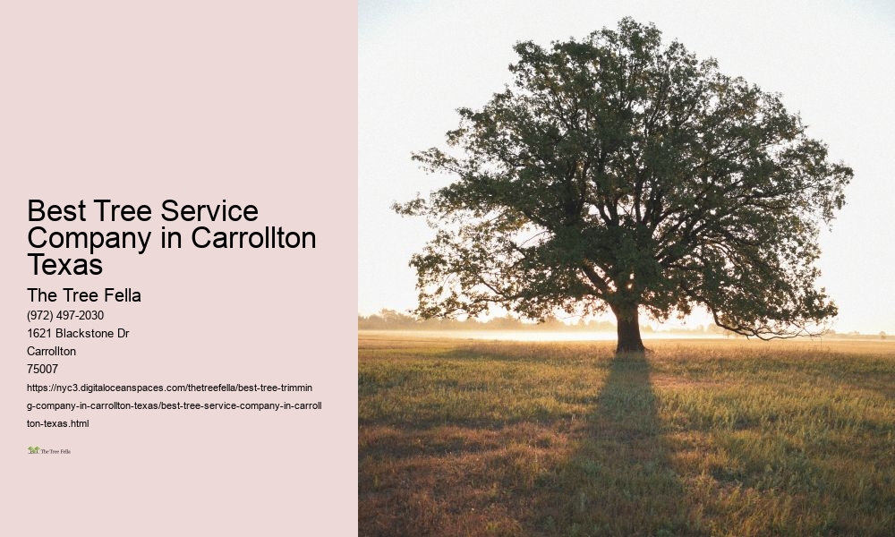 Best Tree Service Company in Carrollton Texas