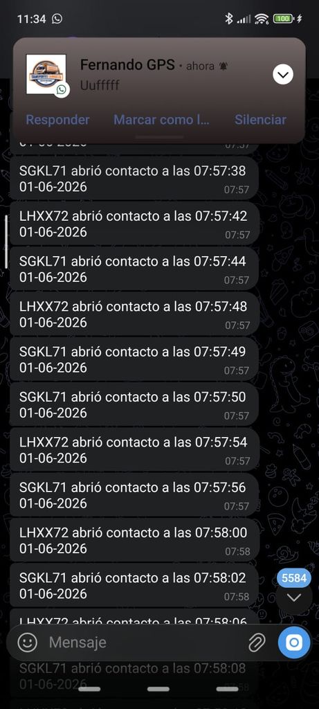 WhatsApp Image 2026-06-01 at 12.05.15.jpeg