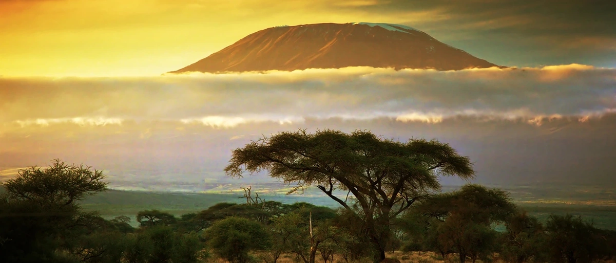 Kilimanjaro National Park