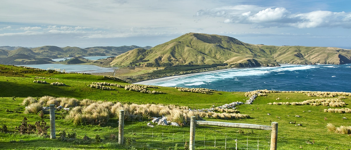 New Zealand