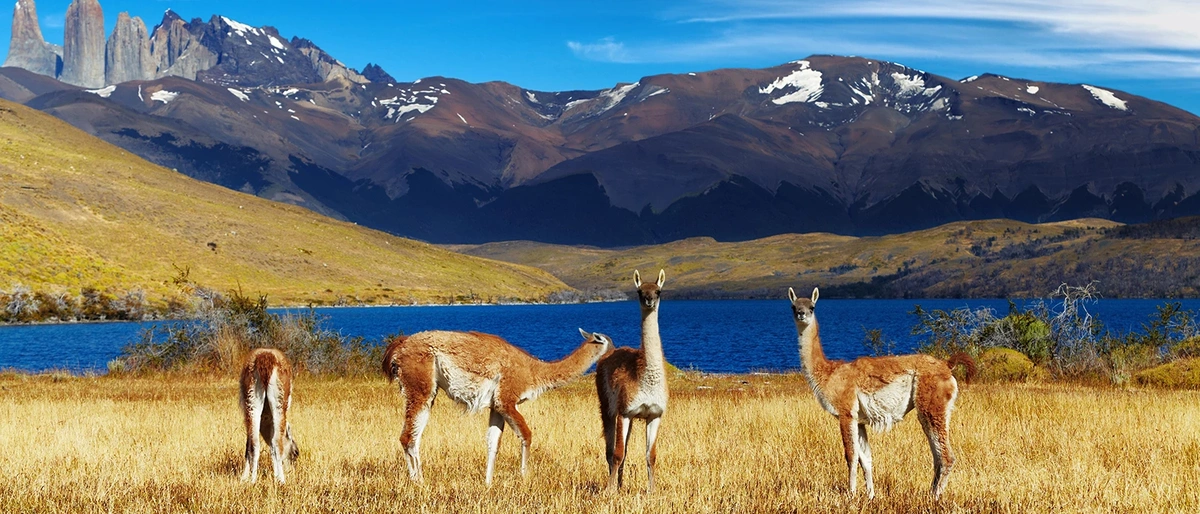 Chile