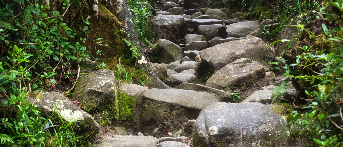 Kinabalu National Park