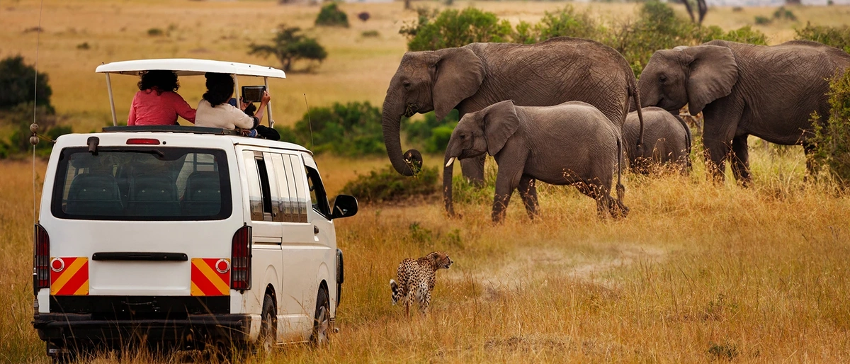 Serengeti National Park