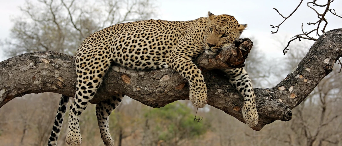 Kruger National Park