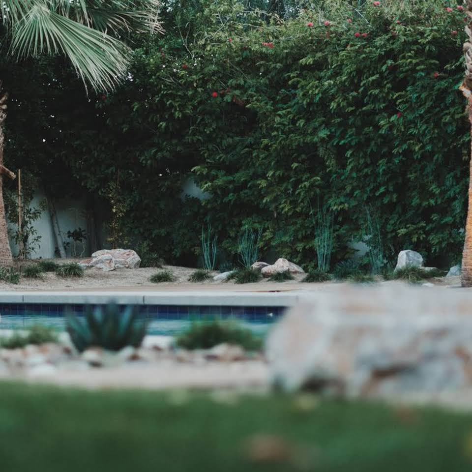 Tucson Landscaping Llc Palm Coast Fl