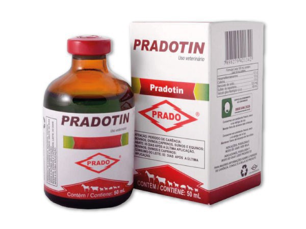 Pradotin