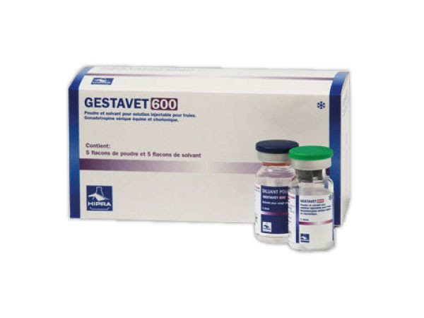 Gestavet 600 1 Dose