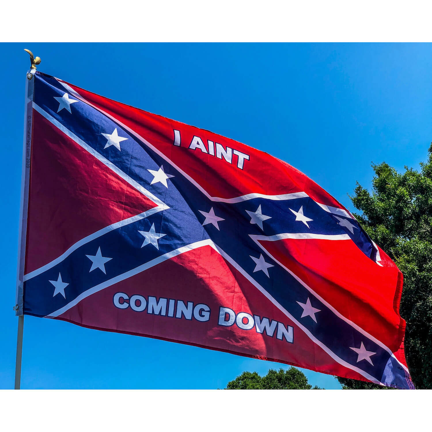 Ultimate Flags: A Panorama of American Valor