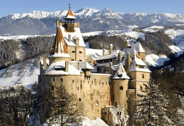 Romania Carpathian bears