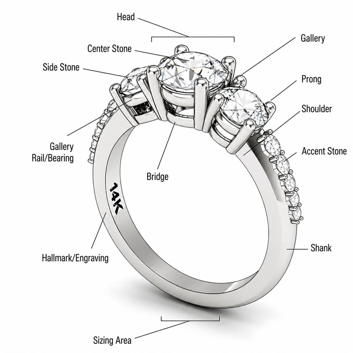 ring anatomy