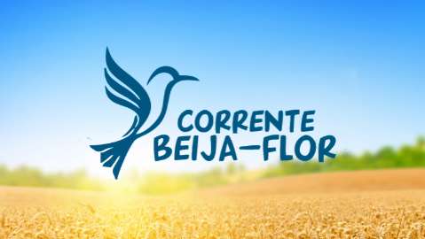 Projeto : Corrente Beija-Flor