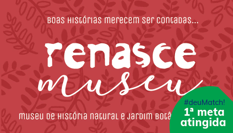 Projeto : Renasce Museu
