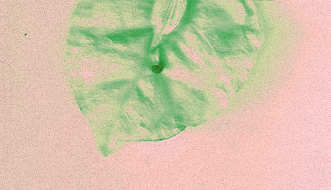 Projeto : METAMORFOSE |  Curta-metragem LGBTQIA+