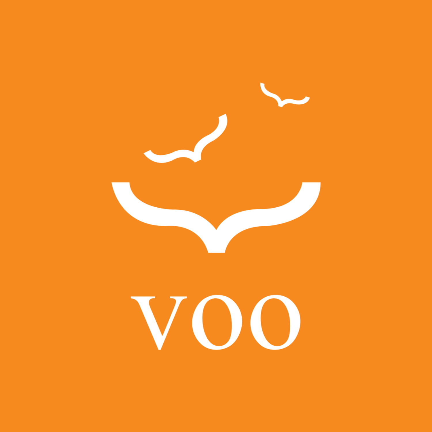 Editora Voo