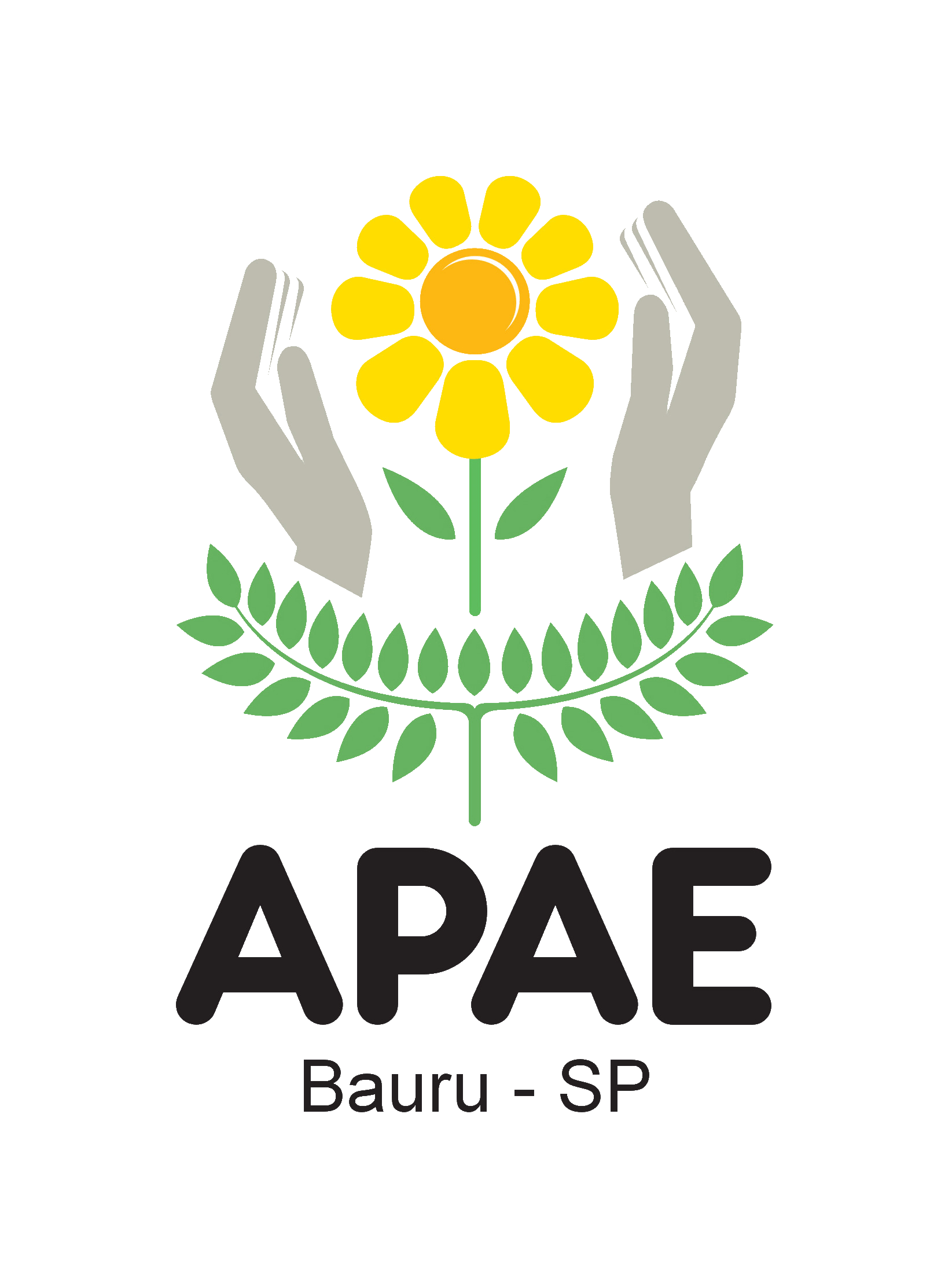 Associação de Pais e Amigos dos Excepcionais - APAE Bauru