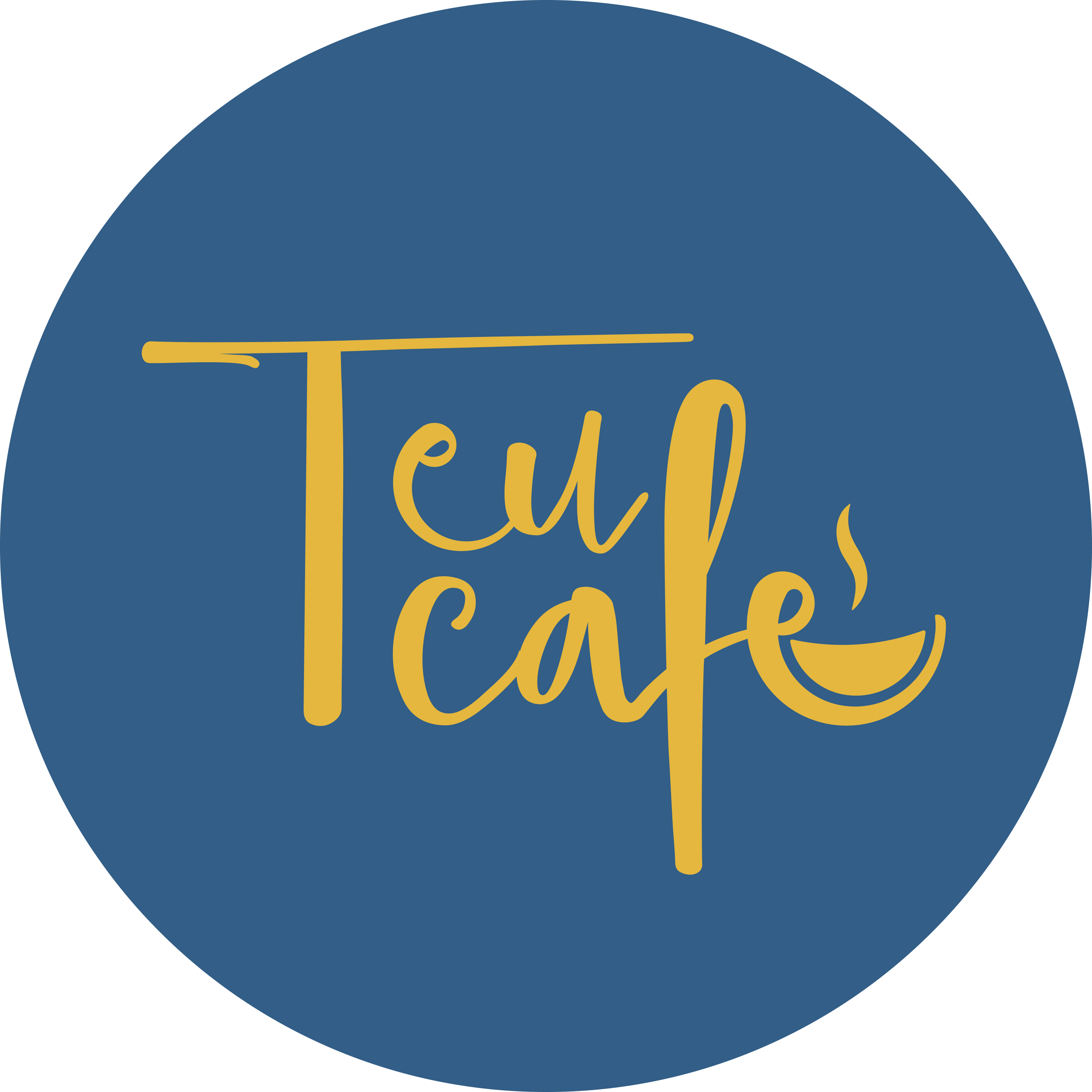 Teu Café Cafés Especiais Ltda