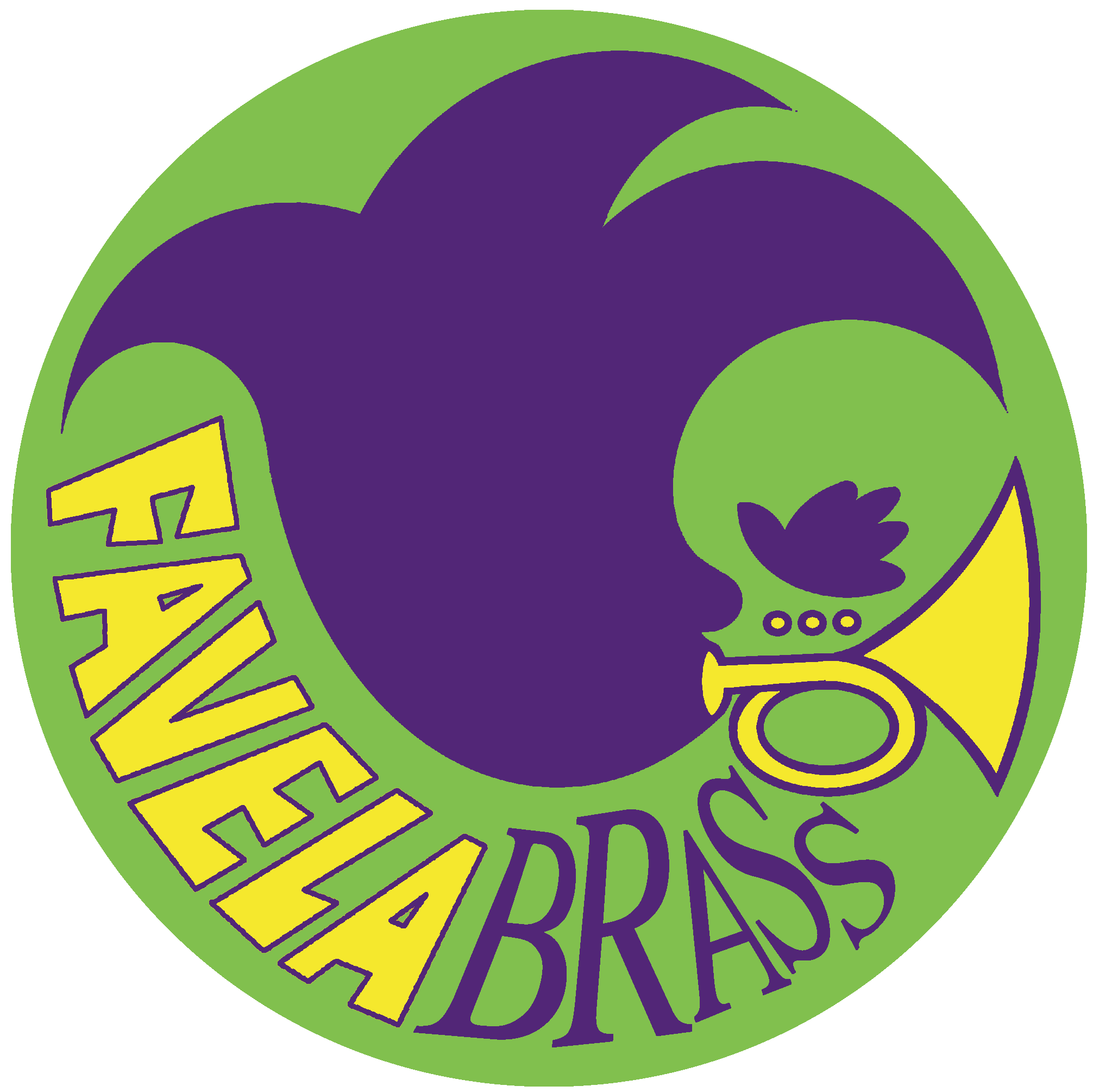 Associação Musical Favela Brass