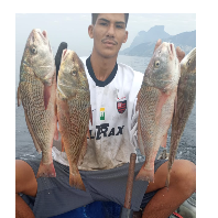 Joao