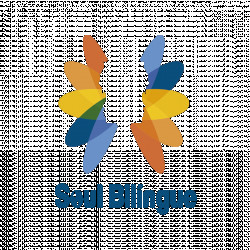 Soul Bilíngue