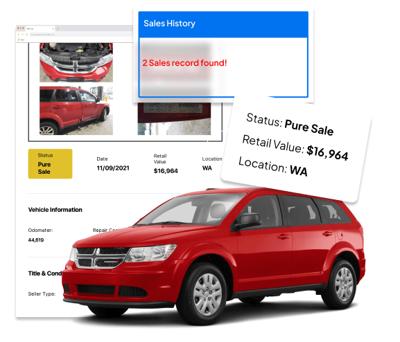 Photo of Sales History Sample Report