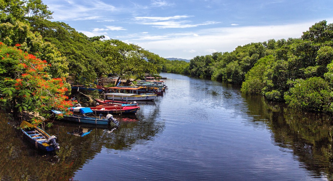 Imperdibles de Jamaica