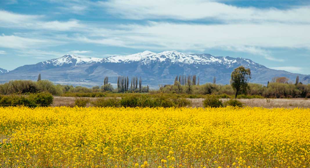 Imperdibles en Chubut