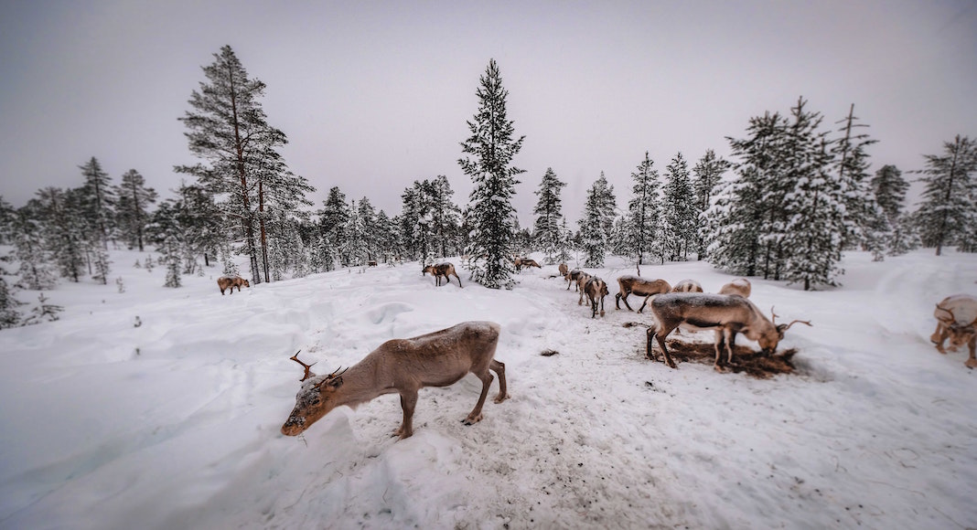 Imperdibles en Finlandia