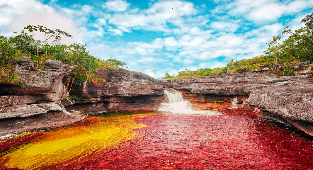 canos cristales