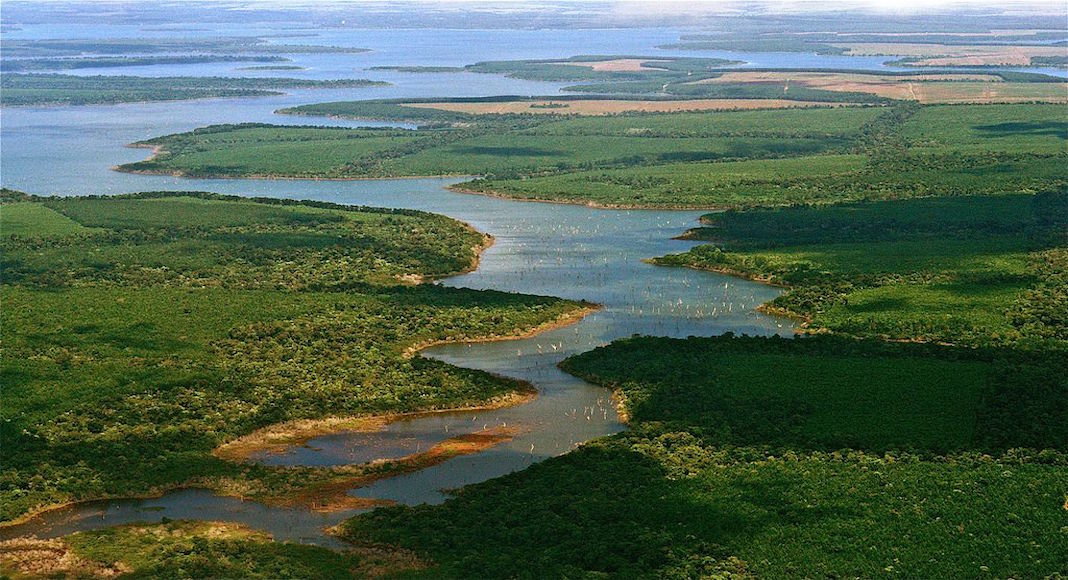 Esteros del Iberá