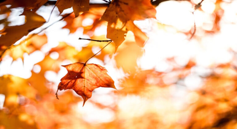 destinos para disfrutar el otoño en Argentina