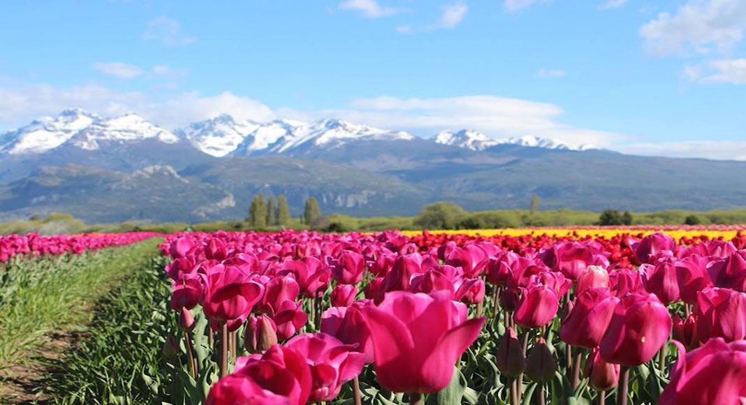 destinos para disfrutar la primavera en Argentina