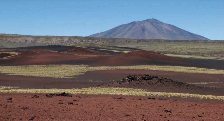 Reserva La Payunia