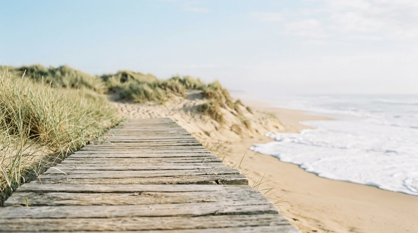 Weathered boardwalk leading toward morning dunes