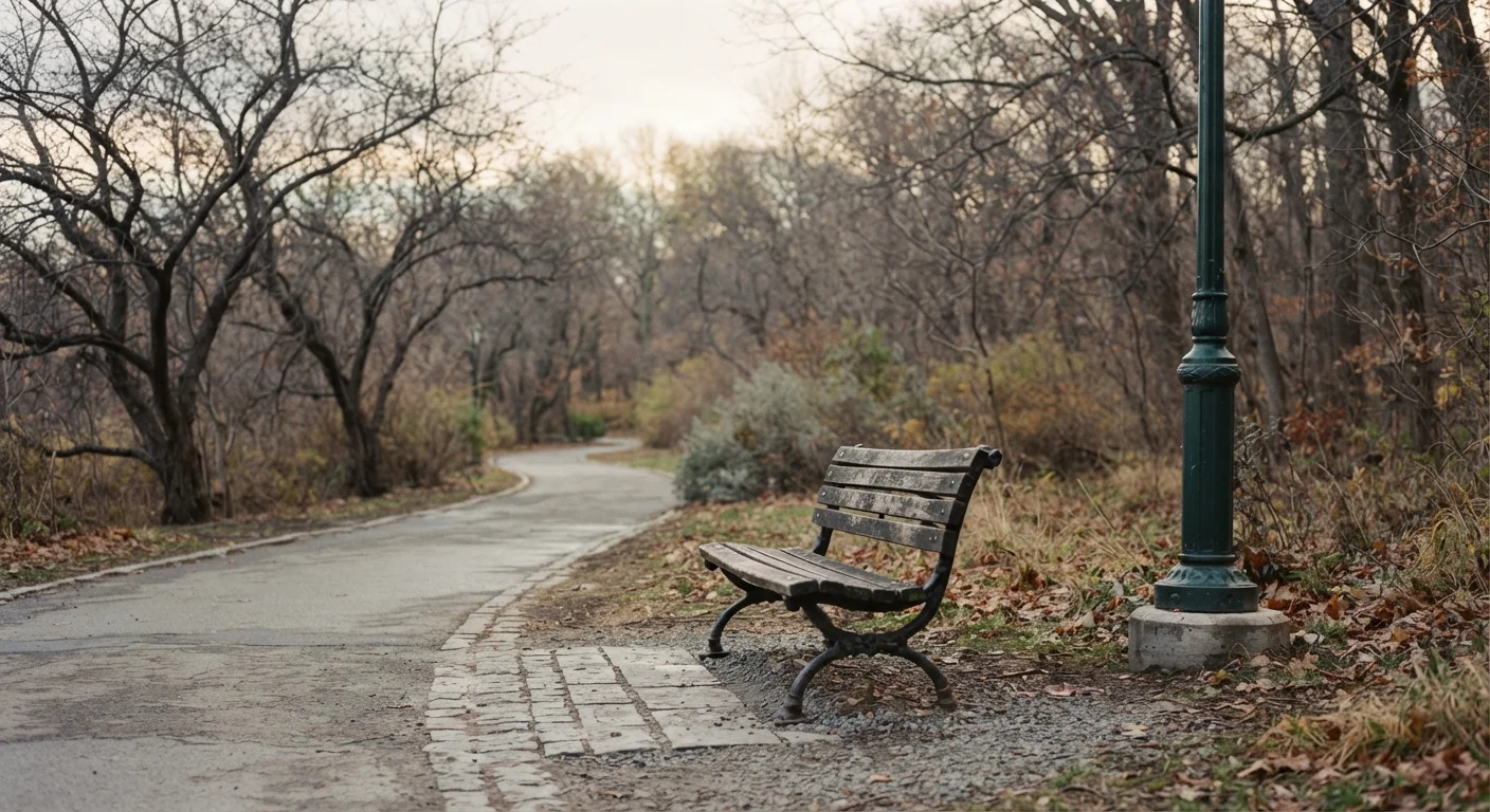 Empty public park bench in gray morning light